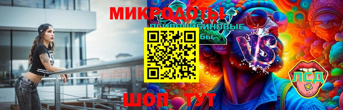 Пугачёв  Галлюциногенные грибы Magic Shrooms  Вход с VPN 
