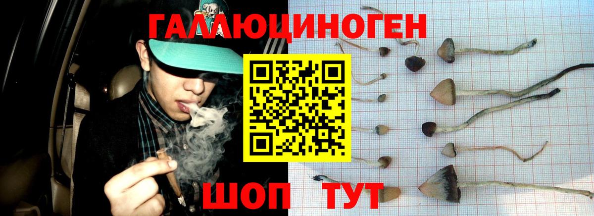 Псилоцибиновые грибы ЛСД Пугачёв